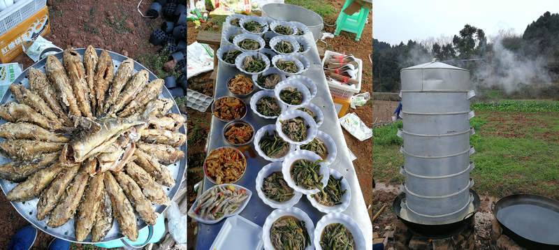 博源国际(中国)有限公司官网